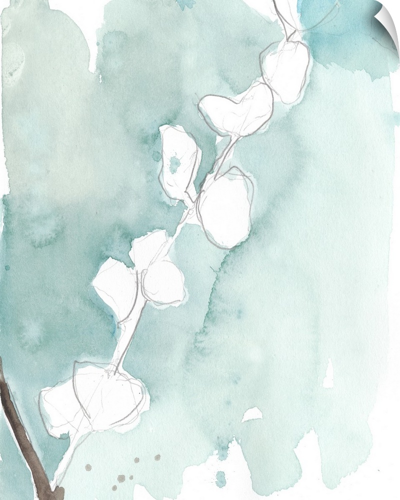 Pencil sketch of Ginkgo leaves with a light blue watercolored background.
