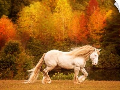 Golden Lit Horse VI