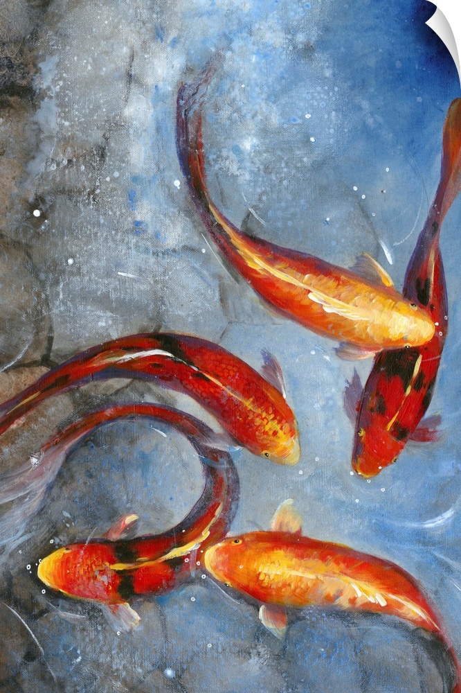 Bright red and orange koi fish swimming in a pond, seen from above.
