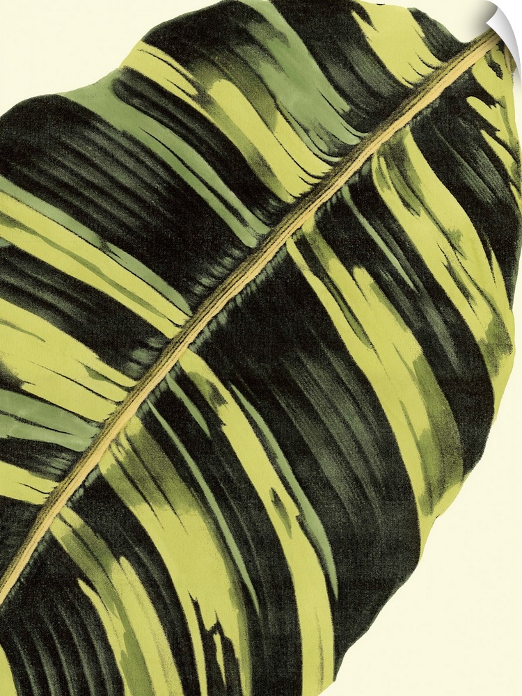 Contemporary botanical illustration of a leaf in a vintage style.