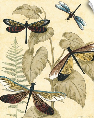 Graphic Dragonflies in Nature II