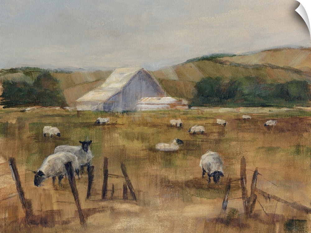 Contemporary artwork of a flock of sheep near a white barn in low afternoon light.