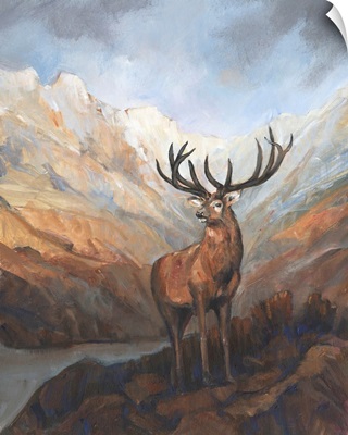 Great Stag In Mountains I