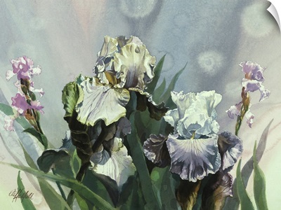 Hadfield Irises III