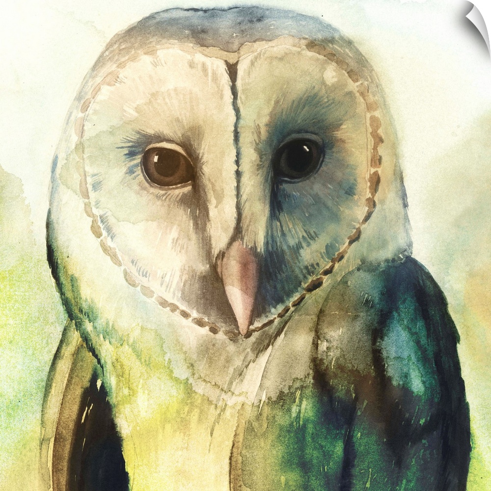 Watercolor painting of a barn owl in pale and vibrant green tones.