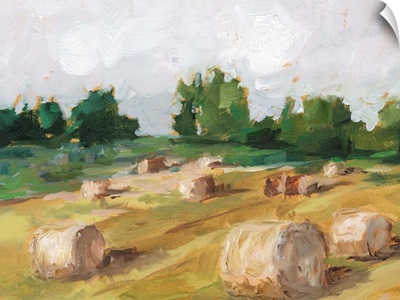 Hay Field I