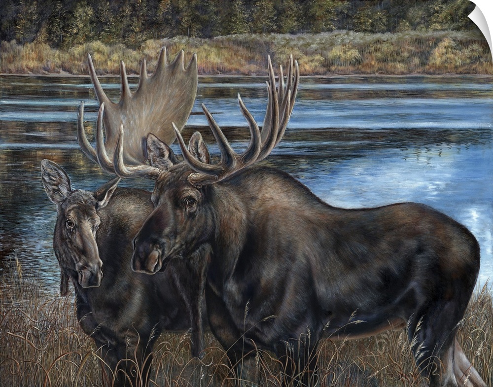 Contemporary painting of a male and female moose beside a river.
