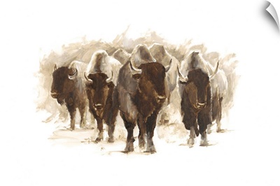 Herd of Bison II