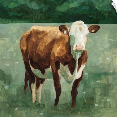 Hereford Cattle I