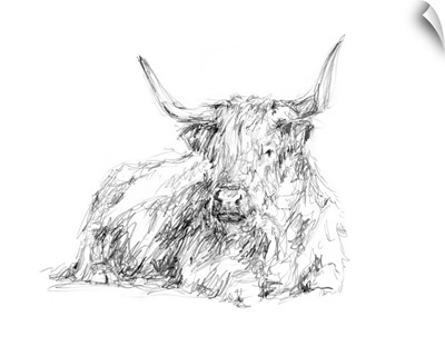 Highland Cattle Sketch I