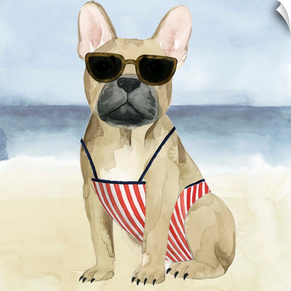 Square watercolor painting of a boxer wearing a bathing suit and sunglasses on a beach.
