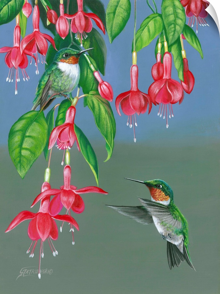 Contemporary wildlife painting of two hummingbirds getting nectar from hanging fuchsia flowers.