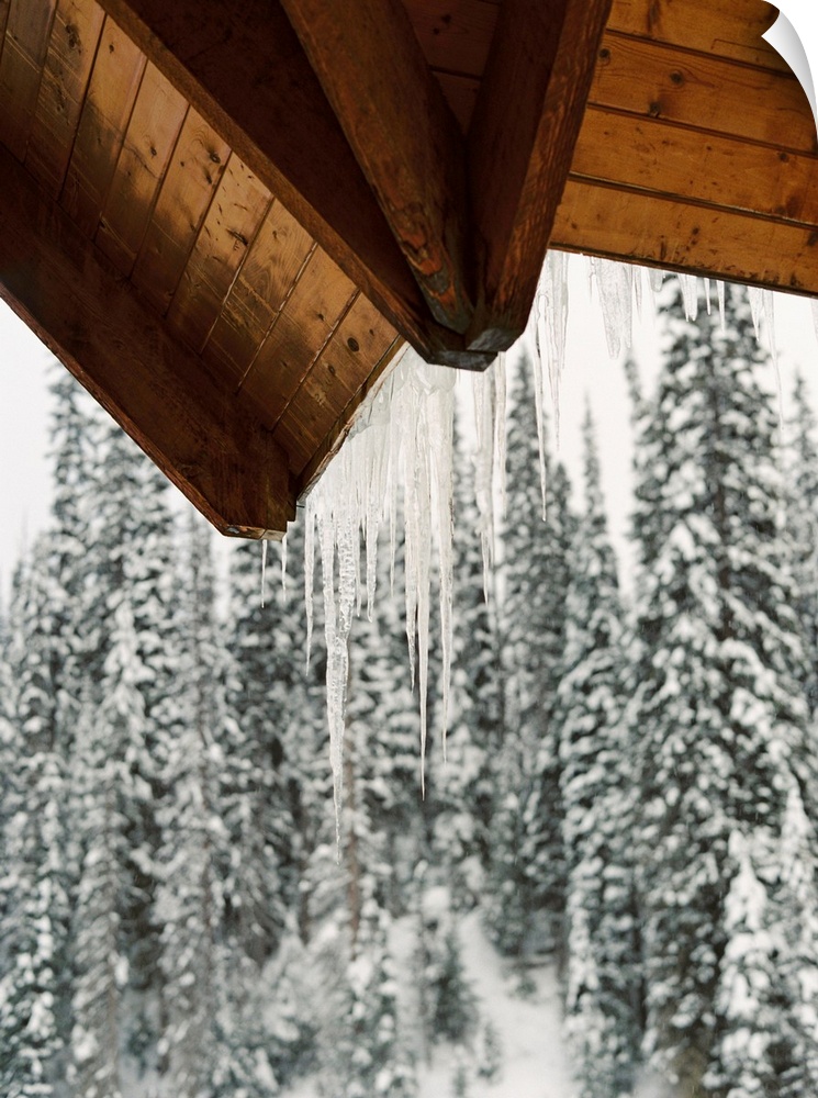 Photograph of icicles hanging from the eaves of a cabin, Emerald Lake Lodge, Banff, Canada