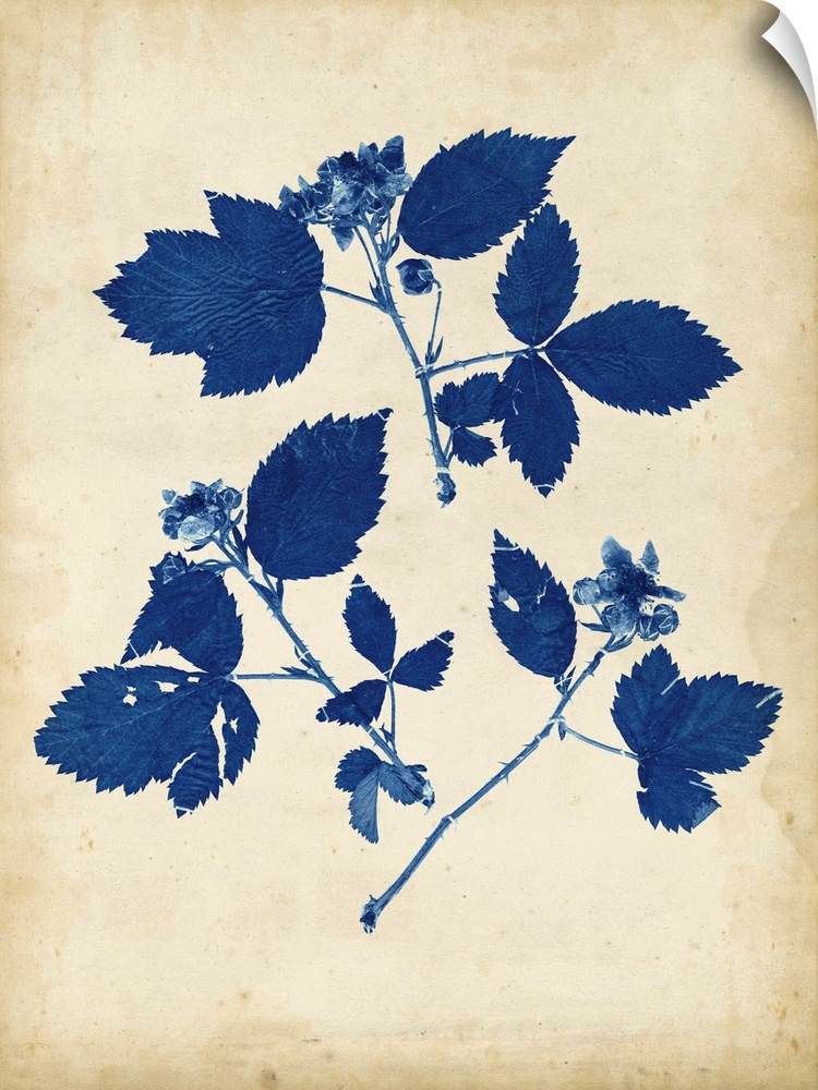 Contemporary artwork of blue flowers against a weathered beige background.