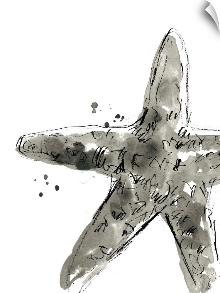 Black and white watercolor painting of a starfish.