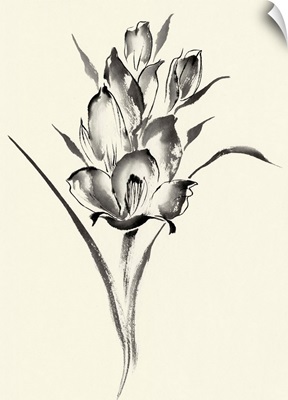 Ink Wash Floral II - Gladiolus