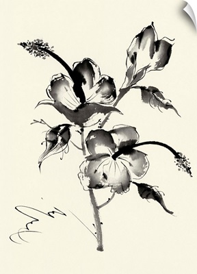 Ink Wash Floral III - Hibiscus