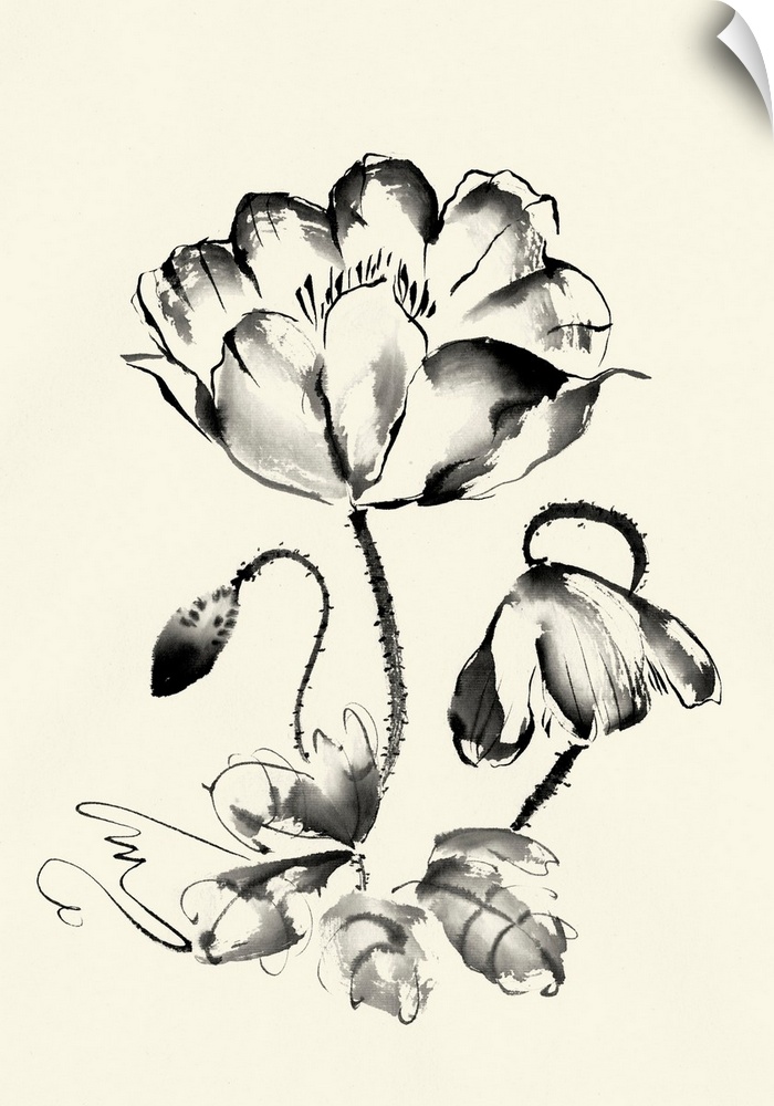 Ink Wash Floral IV - Poppy