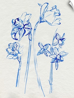 Inky Daffodils I