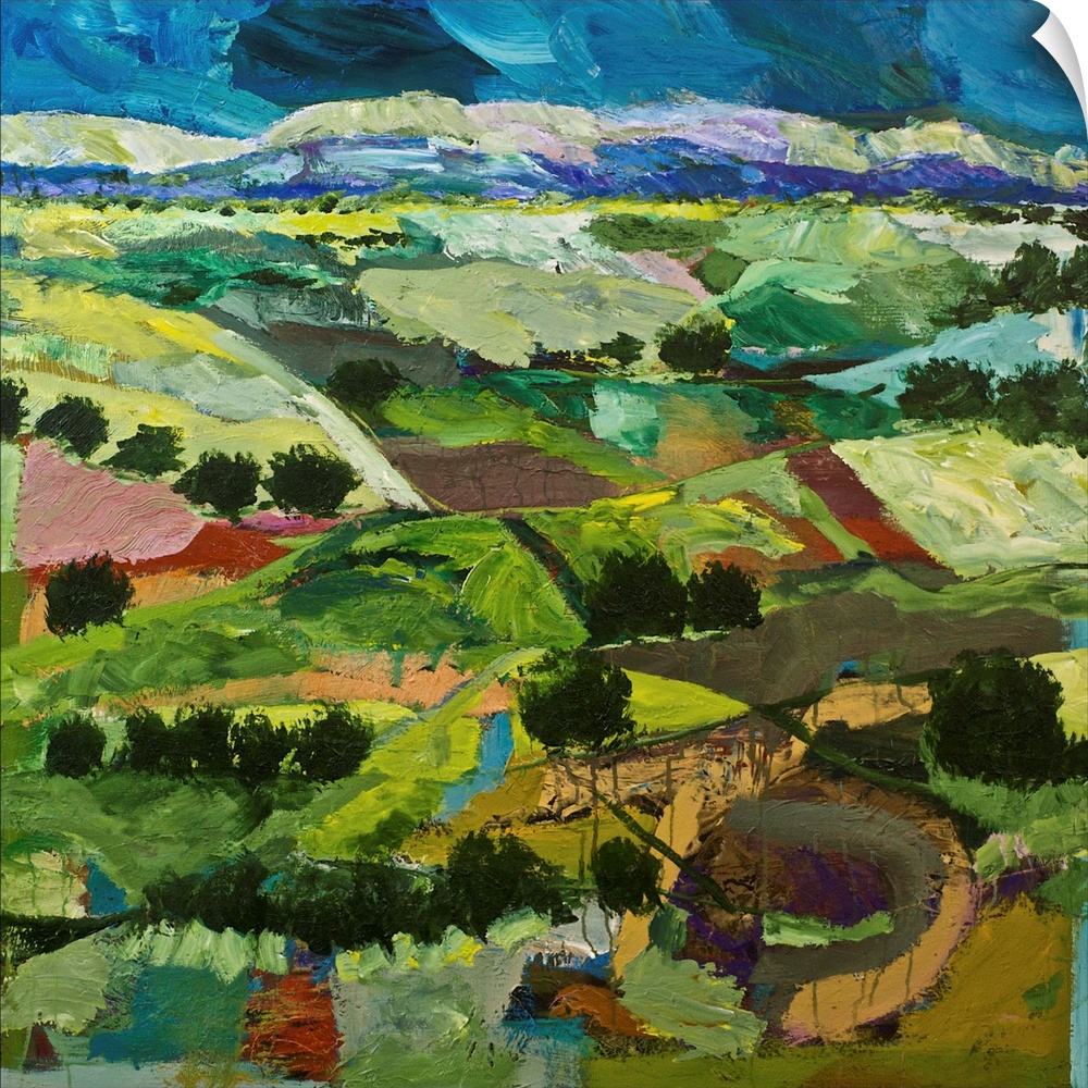 Contemporary painting of a country landscape with many tilled fields lined with trees.