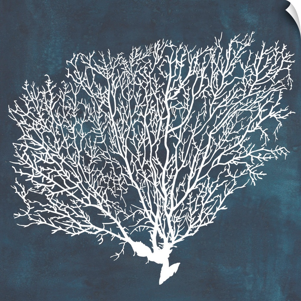 Contemporary nautical themed artwork of a sea fan in white against a dark navy blue background.