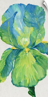 Iris Bloom In Green I