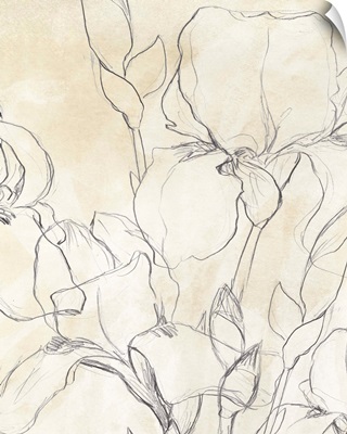 Iris Garden Sketch II
