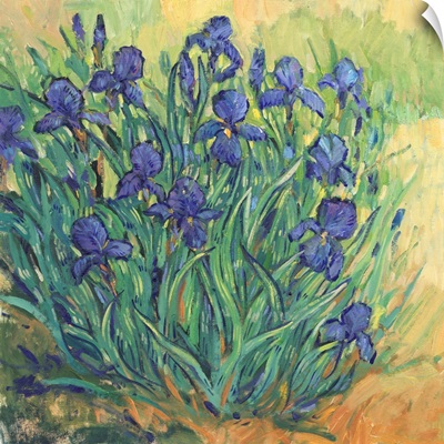 Irises In Bloom II
