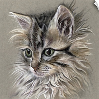 Kitten Portrait I
