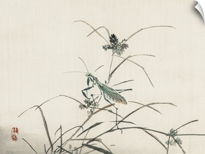 Kono Bairei Dragonflies III