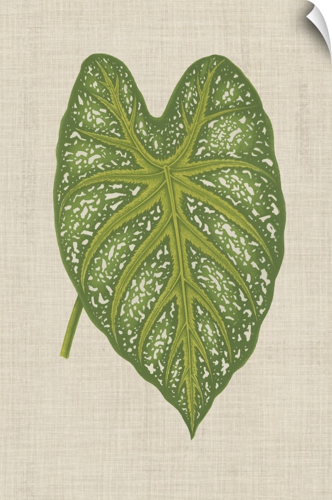 This decorative artwork features an illustrative leaf with speckling detail over a neutral linen background.