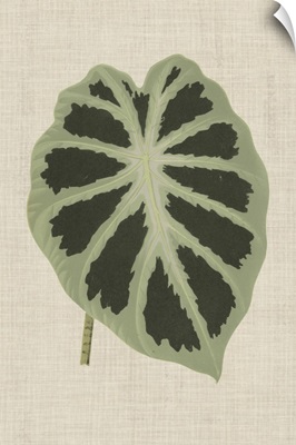 Leaves on Linen II