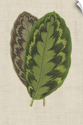 Leaves on Linen IV
