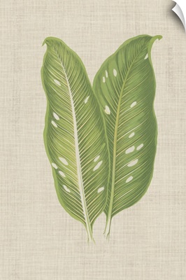 Leaves on Linen V