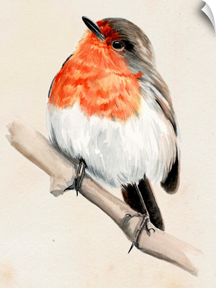 Contemporary artwork of a garden bird perched on a branch against a neutral background.