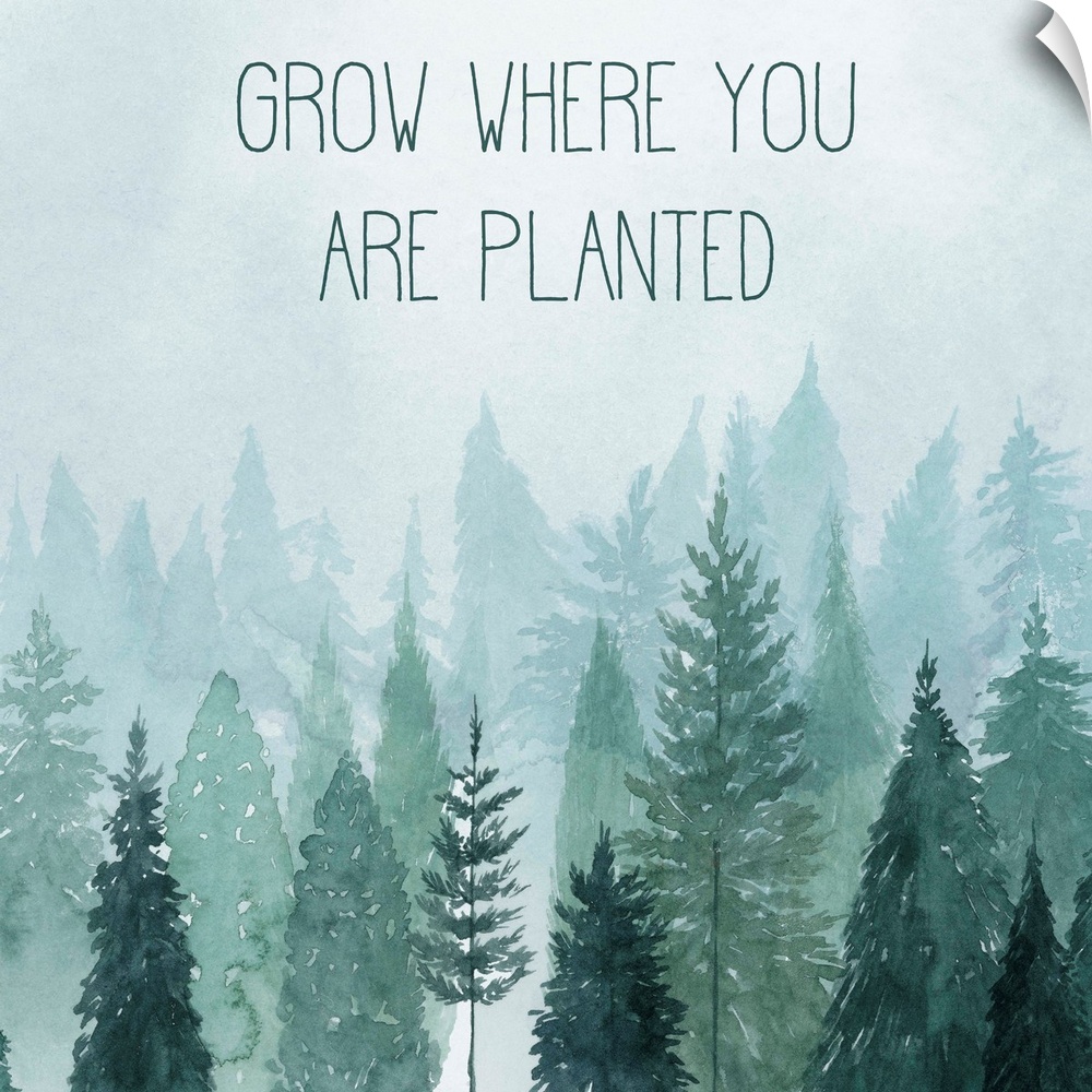 Decorative artwork of watercolor trees on a foggy day with the words: Grow where you are planted.