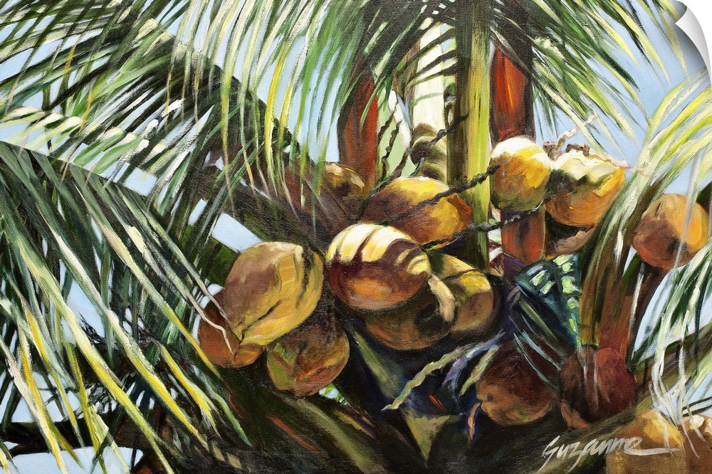 A painting of a group of coconuts on a palm tree.