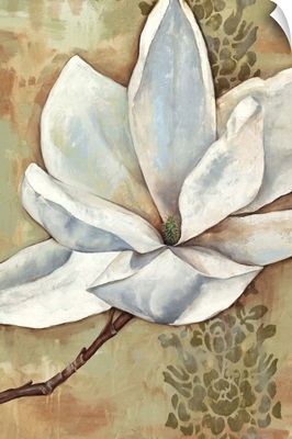 Magnolia Majesty II