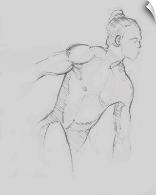 Male Torso Sketch II