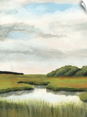 Marsh Landscapes II