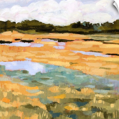 Marsh View II
