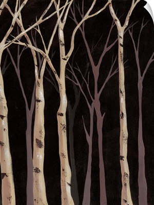 Midnight Birches II
