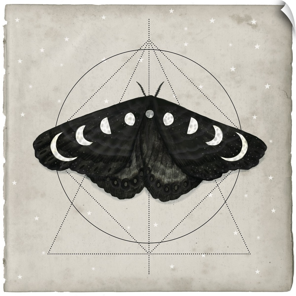 Watercolor moth with moon shapes on its wings in front of geometric shapes on a tan background.