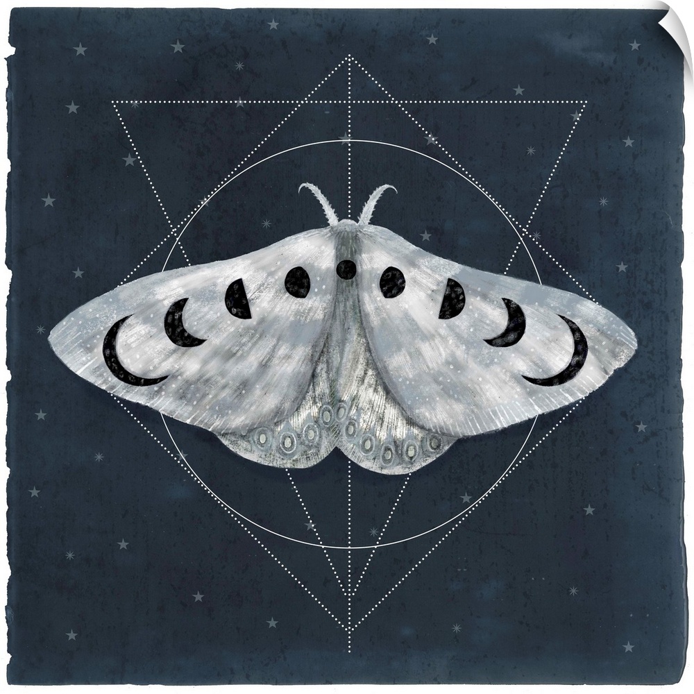 Watercolor moth with moon shapes on its wings in front of geometric shapes on a navy background.