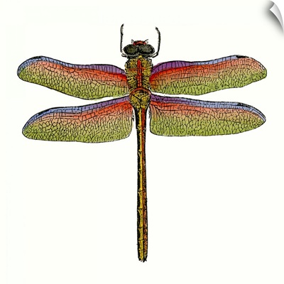 Miniature Dragonfly III