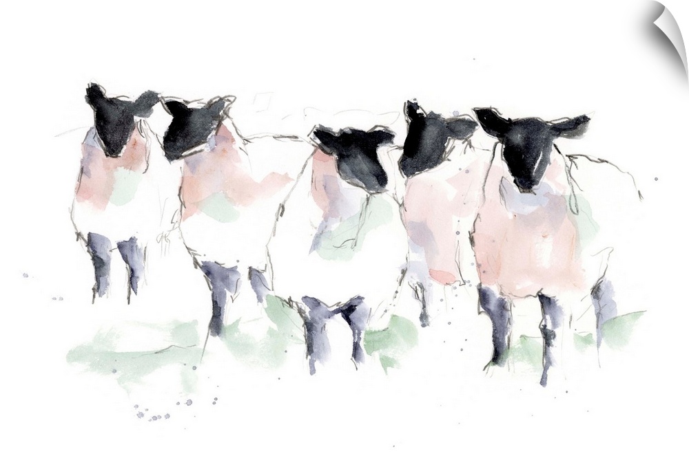 Minimalist Watercolor Sheep I
