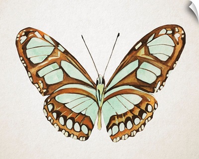 Mint Butterfly I