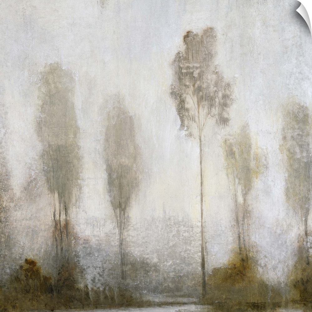 A contemporary painting of a fog shrouded group of tall thin trees.