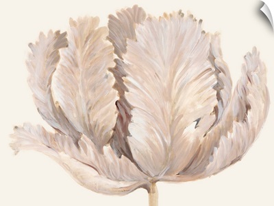 Monochromatic Tulip II