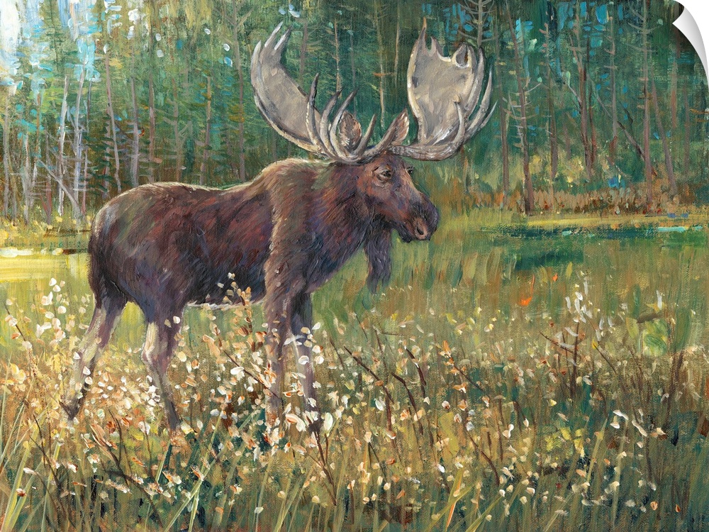 Contemporary painting of a moose standing in a meadow near a forest.